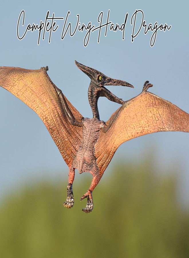 Mallexo Realistic Flying Dinosaur Action Figure for Kids Petrosaurus Dinosaurs Model Fidge Jurassic World Playset Toys Learning | Educational Prehistoric Dragon item for Girls & Boys Birthday Gift 1Pc - Image 5